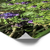 Sonnenuhr in Lavendel Poster (Ecke)