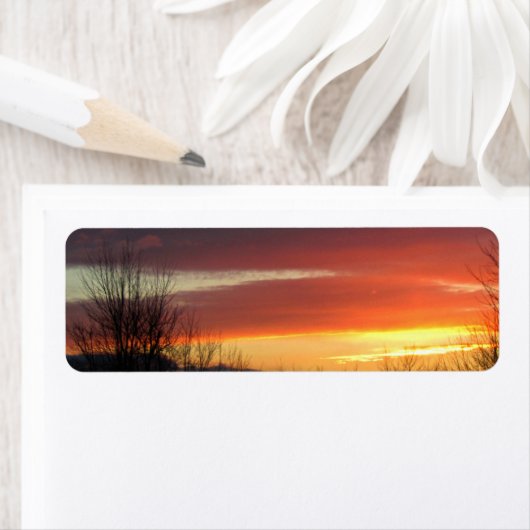 Sonnenuntergang (Insitu)