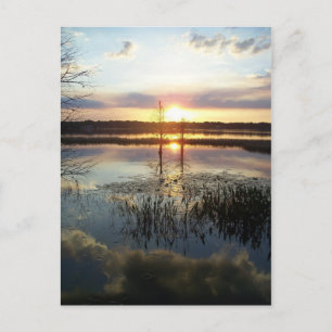 Sonnenuntergang 172 Florida Postkarte