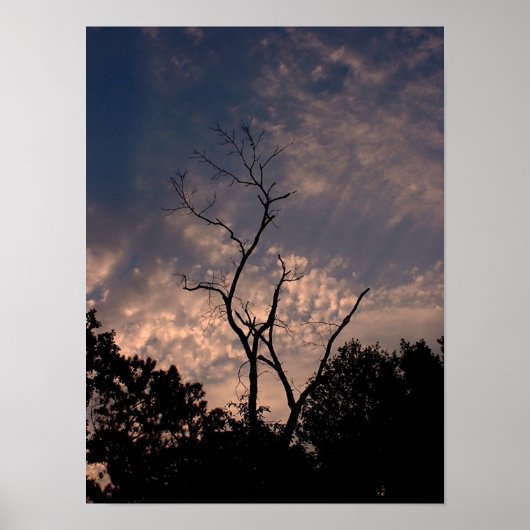 Sonnenuntergang 18 poster (Vorne)