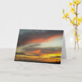 Sonnenuntergang (2) 2016 Foto durch Kennzeichen Karte (Gelbe Blume)