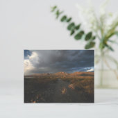 "Sonnenuntergang am Adlerpunkt" Postkarte (Stehend Vorderseite)