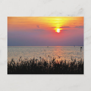 Sonnenuntergang am Bodensee in Vorarlberg Postkarte