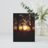 Sonnenuntergang am Friedhof Postkarte (Stehend Vorderseite)
