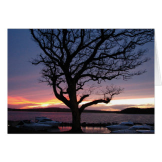 Sonnenuntergang am Hafen