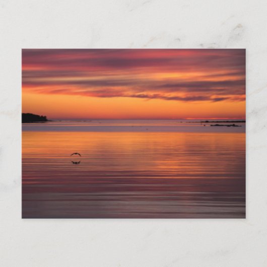 Sonnenuntergang am Meer, Finnland CC0157 Postkarte (Vorderseite)
