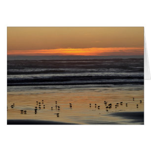 Sonnenuntergang am Pazifik