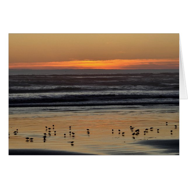 Sonnenuntergang am Pazifik (Vorderseite (Horizontal))