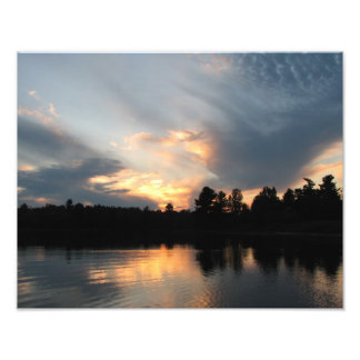 Sonnenuntergang am Pinienhain Fotodruck