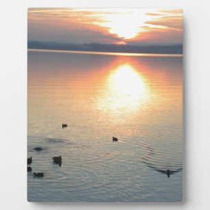 Sonnenuntergang am See mit Enten Fotoplatte