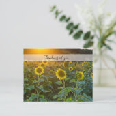 Sonnenuntergang am Sonnenblumenfeld denken Sie an  Postkarte (Stehend Vorderseite)