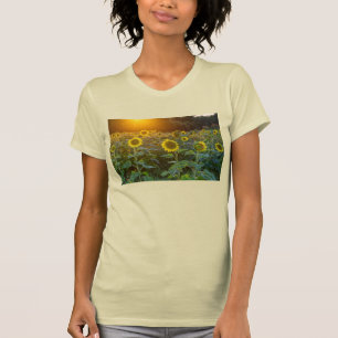 Sonnenuntergang am Sonnenblumenfeld-T - Shirt