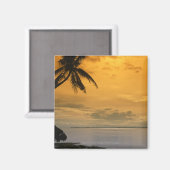Sonnenuntergang am Strand Magnet (Vorderseite/Rückseite)