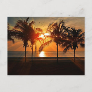 Sonnenuntergang am Strand, tropische Landschaft,  Postkarte