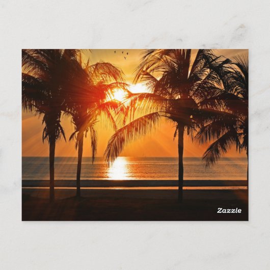 Sonnenuntergang am Strand, tropische Landschaft, Postkarte (Rückseite)