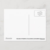 Sonnenuntergang am Strand von Saint Pete Postkarte (Rückseite)