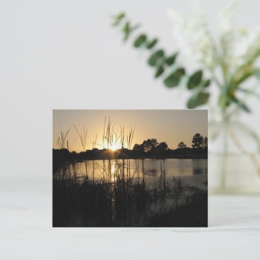 Sonnenuntergang am Teich Postkarte (Stehend Vorderseite)