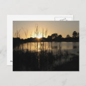 Sonnenuntergang am Teich Postkarte (Vorne/Hinten)