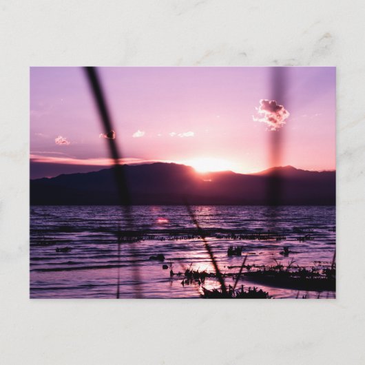 Sonnenuntergang am Utah Postcard Postkarte (Vorderseite)