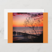 Sonnenuntergang an Seacliff Postkarte (Vorne/Hinten)