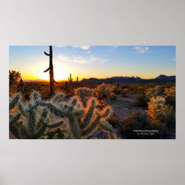 Sonnenuntergang Arizona Sonoran Wüste mit Saguaro Poster