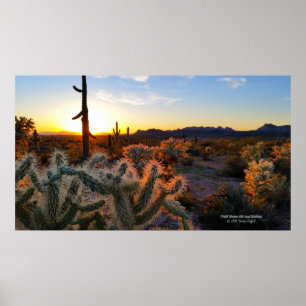 Sonnenuntergang Arizona Sonoran Wüste mit Saguaro Poster