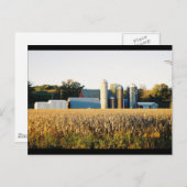 Sonnenuntergang auf dem Bauernhof Postkarte (Vorne/Hinten)