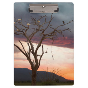 Sonnenuntergang auf dem Kandheri-Sumpf mit afrikan Klemmbrett