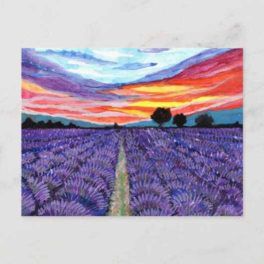 Sonnenuntergang auf dem Lavender Field Postkarte (Vorderseite)