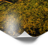 Sonnenuntergang auf dem Pensacola Beach Foto (Ecke)