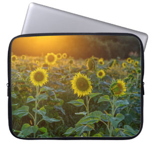 Sonnenuntergang auf dem Sonnenblumenfeld Laptopschutzhülle