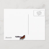 Sonnenuntergang auf dem Wasser Abstrakte Ozeanfoto Postkarte (Rückseite)