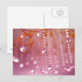 Sonnenuntergang auf der Kristallkarte Postkarte (Vorne/Hinten)