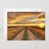 Sonnenuntergang auf der Landstraße Postkarte (Vorne/Hinten)