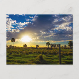 Sonnenuntergang auf einer Florida Ranch Postkarte