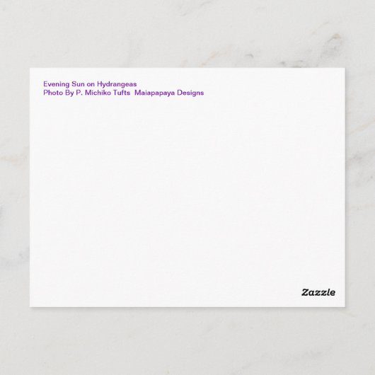 Sonnenuntergang auf Hydrangeas Postkarte (Rückseite)