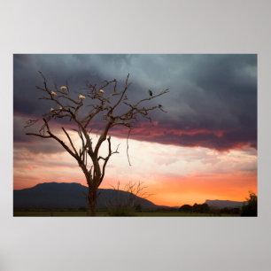 Sonnenuntergang auf Kandheri-Sumpf mit Afrikanisch Poster