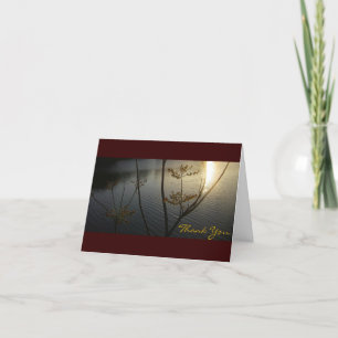 Sonnenuntergang auf Kräuselungen Danken-Sie für Dankeskarte