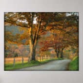 Sonnenuntergang auf Sparks Lane Poster (Vorne)