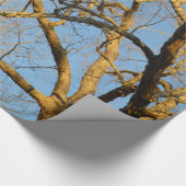 Sonnenuntergang-Baum-Packpapier Geschenkpapier (Ecke)
