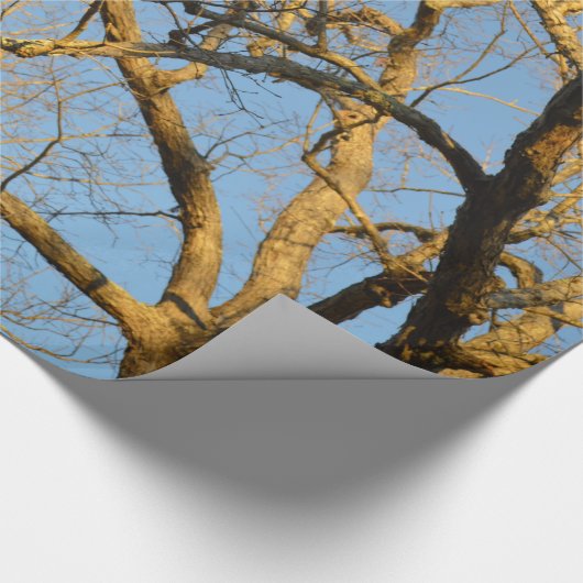 Sonnenuntergang-Baum-Packpapier Geschenkpapier (Ecke)