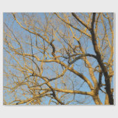 Sonnenuntergang-Baum-Packpapier Geschenkpapier (Flach)