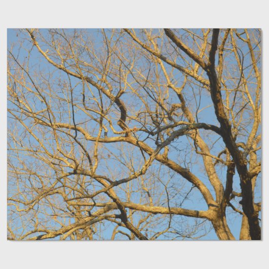 Sonnenuntergang-Baum-Packpapier Geschenkpapier (Flach)