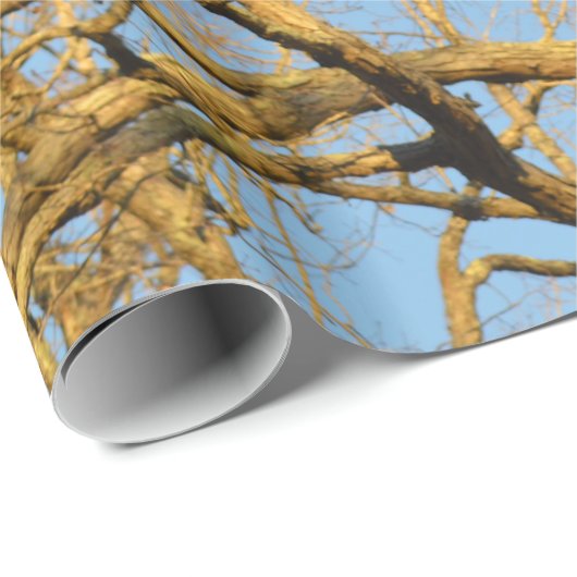 Sonnenuntergang-Baum-Packpapier Geschenkpapier (Rolleneckpunkt)