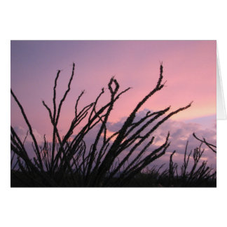 Sonnenuntergang bei Lavendeln