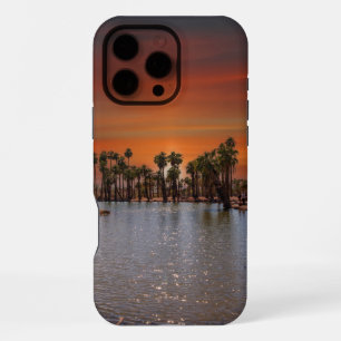 Sonnenuntergang bei Papago Park IPhone-Hülle iPhone 16 Pro Max Hülle