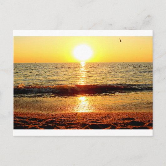 Sonnenuntergang, Cape May NJ Postkarte (Vorderseite)