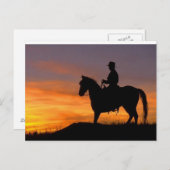 Sonnenuntergang-Cowboy Postkarte (Vorne/Hinten)