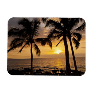 Sonnenuntergang der Palme Magnet