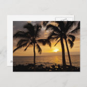Sonnenuntergang der Palme Postkarte (Vorne/Hinten)